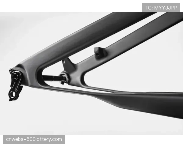 碳纤维与铝合金之争：BMX竞速职业车架材料选择趋势报告